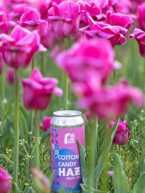 The 97th Tulip Time Festival is just two weeks away and Cotton Candy Haze is back in stock just in time! It’s our favorite beer to pair with fair food and carnival games! 🎡🍬