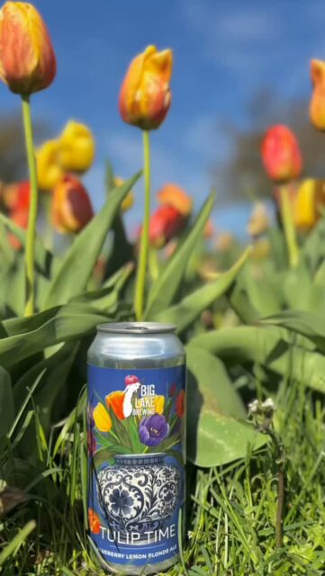 Tulip Time officially starts TOMORROW 5/1 🌷🍻 We’re ready for a week of fun! Check out our page to see the full live music schedule 🎶
