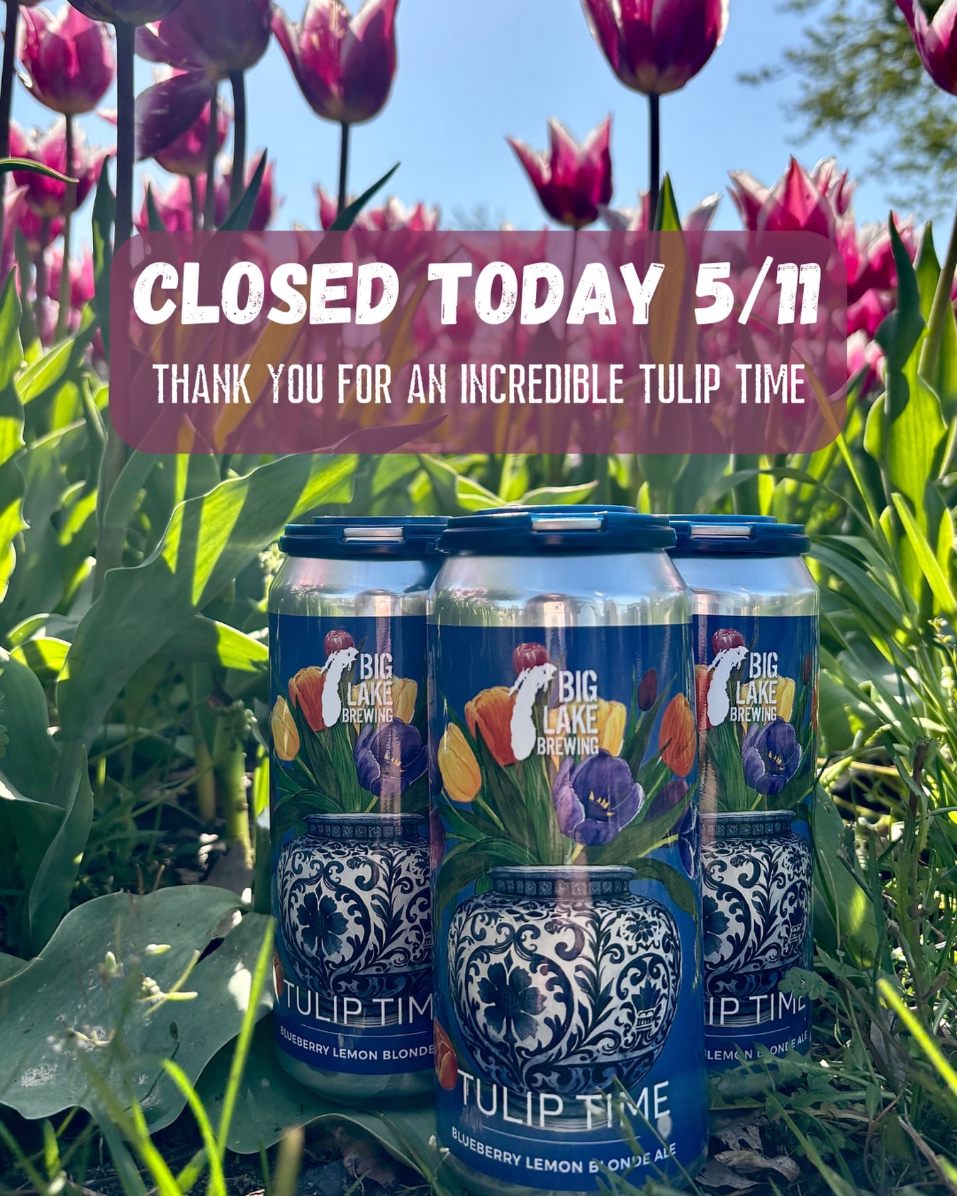 Thank you for an incredible Tulip Time Festival! Huge shoutout to our incredible team for getting us through a busy week 🌷 We’re already counting down the days until next year, cheers!