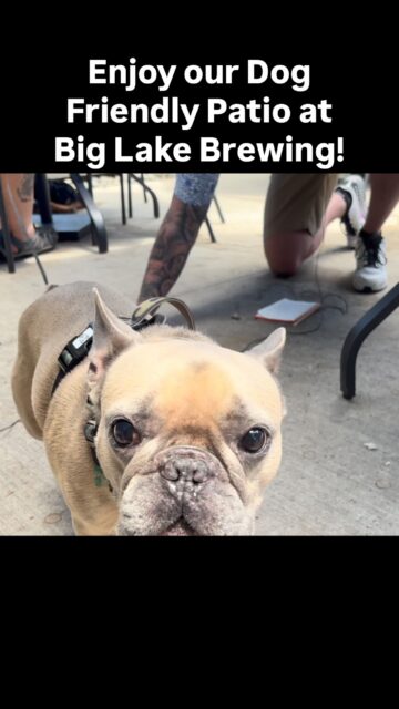 Patio days just got better 🐶🍻