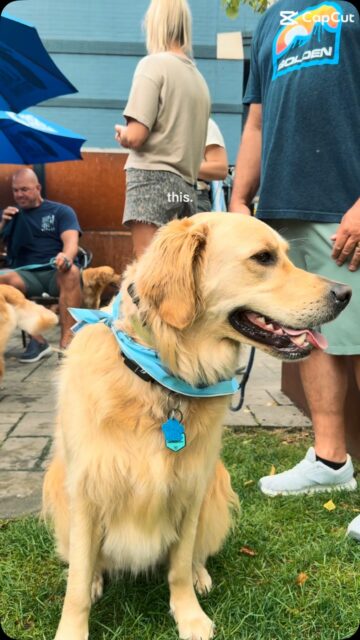 We absolutely LOVE being dog friendly! Stop by our patio before the season is over and bring your furry friend 🫶🏼 We’ve got a dog menu packed with their favorites to help you enjoy a pint in peace